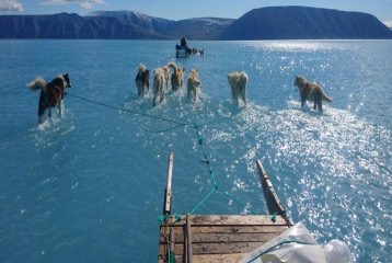 Daily Morning Awesomeness