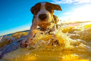 Weekend Afternoon Randomness