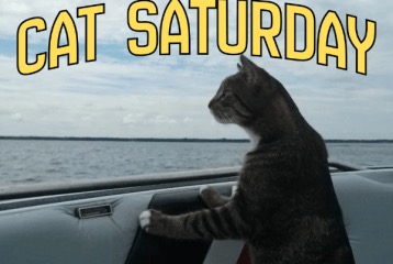 Ahoy! It’s Cat Saturday