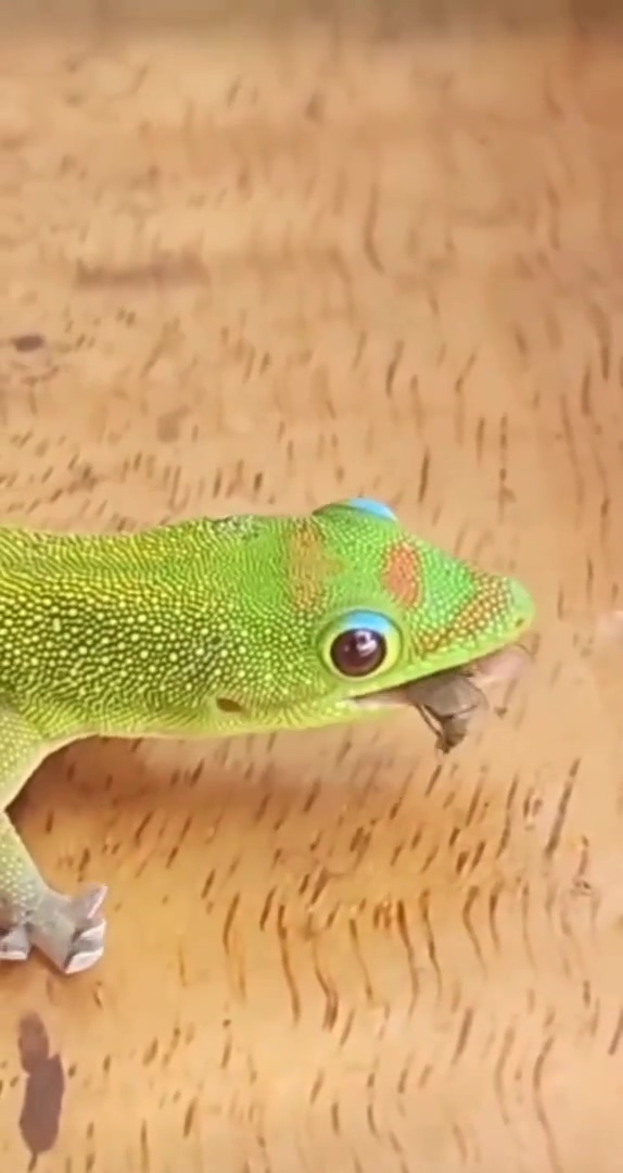 Ben je net lekker aan het snacken