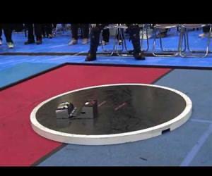 Japanse sumo-robots