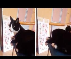 Stop met jezelf te slaan