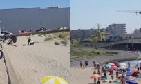 Jongeren vluchten massaal de zee in na komst politiehond op strand Scheveningen