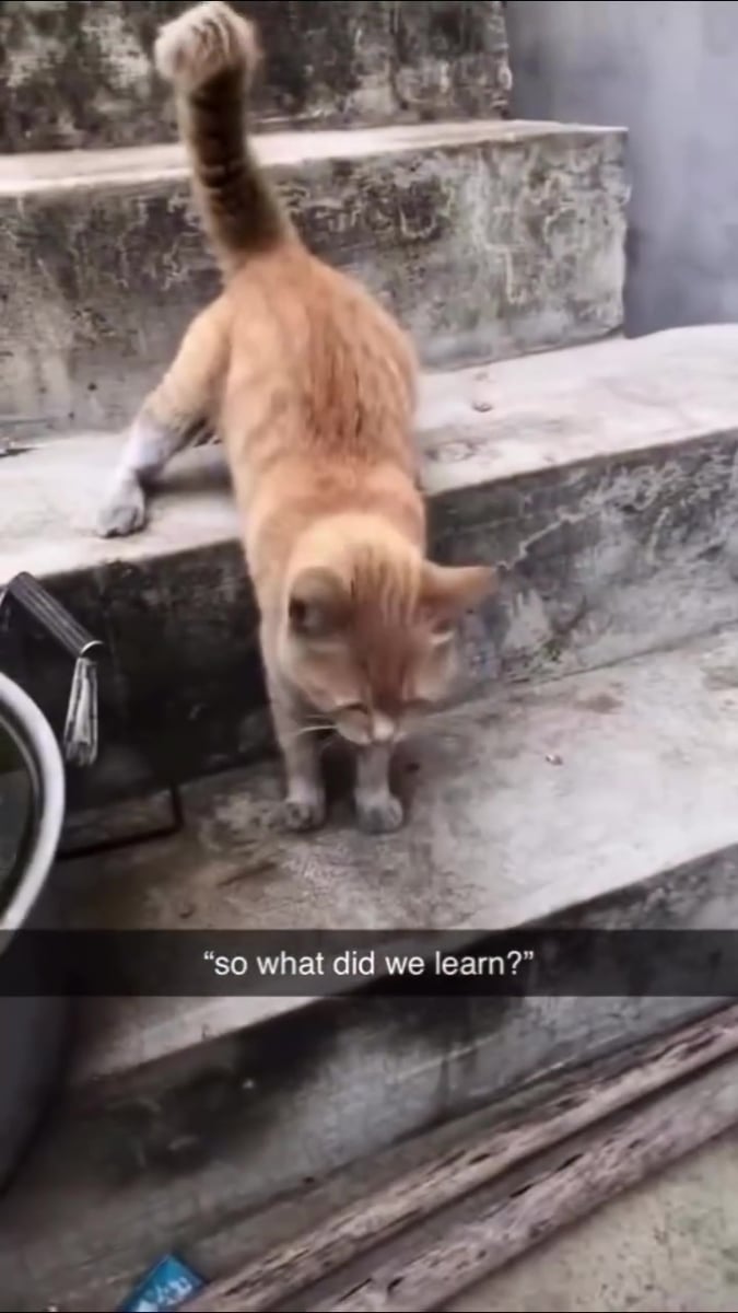 Manieren kan je leren