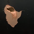 Gevonden in een concerttoilet