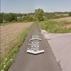 Google Maps helpt wetenschappers nu bij het ontdekken van nieuwe diersoorten: De Vliegende Konijn